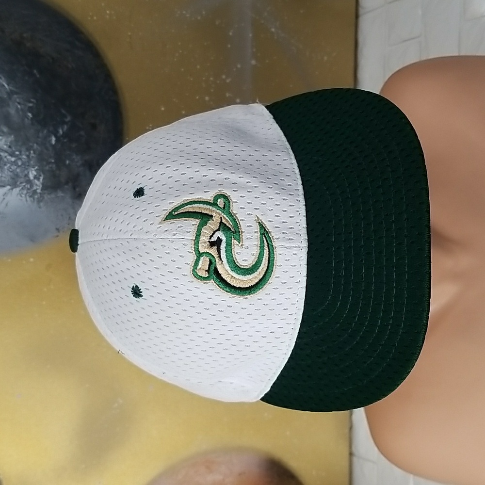 Vintage Charlotte 49ers snapback cap